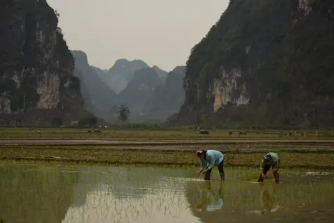 Vietnam 4 — Vietnam